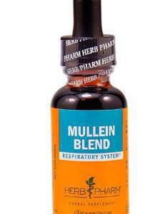 Mullein Blend Extract