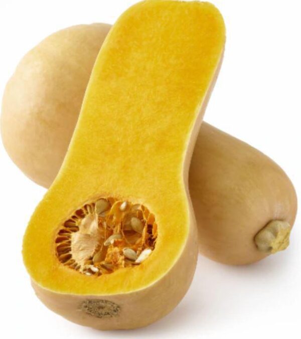 Butternut Squash, Organic