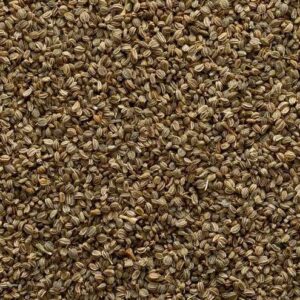 CELERY SEED,OG2,WHOLE