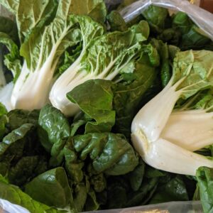 Bok Choy, baby, local