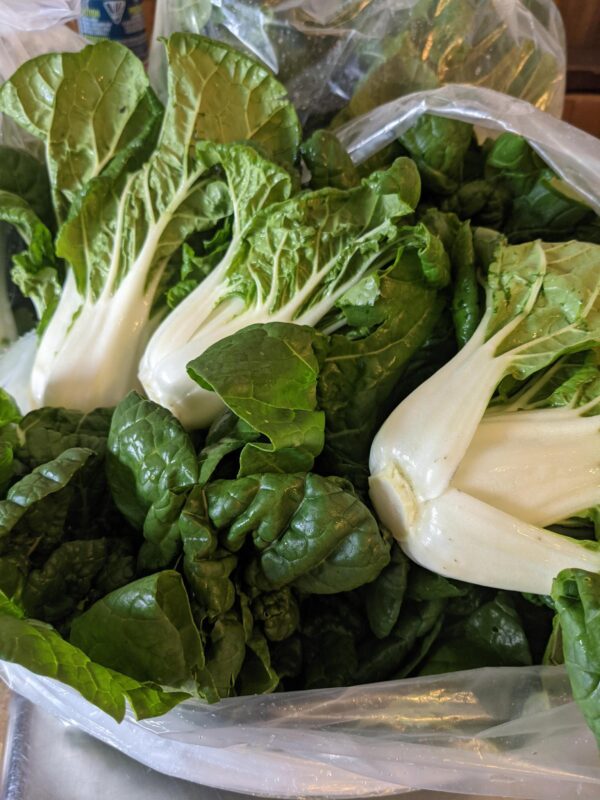 Bok Choy, baby, local