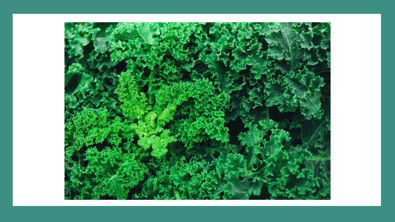 Superfood Power Boost: Kale Yeah, It's Monday!