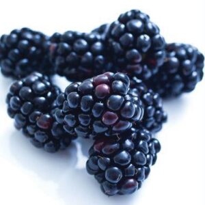 Berries, Blackberries, organic