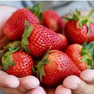 Berries, Strawberries