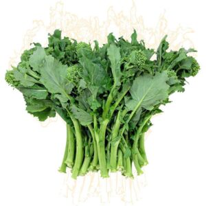 Broccoli, Rapini