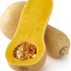 Butternut Squash, Local Organic